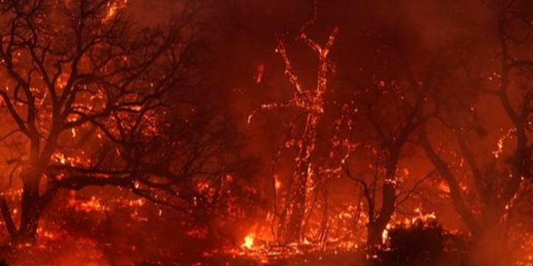 La ONU advierte que la humanidad está atrapada en una 'espiral de autodestrucción'