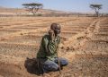 La pandemia del hambre. El cambio climático acaba con el ganado y la vida nómada en Somalia: Todo se ha convertido en polvo