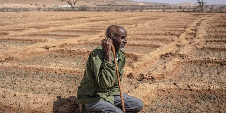 La pandemia del hambre. El cambio climático acaba con el ganado y la vida nómada en Somalia: Todo se ha convertido en polvo