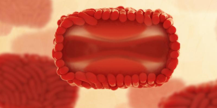 La viruela del mono podrí­a transmitirse también por ví­a aérea