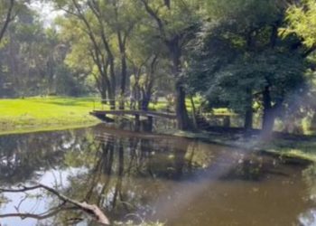 Laguna de Amatitlán bajo vigilancia del CONAP tras aparición de reptil gigante