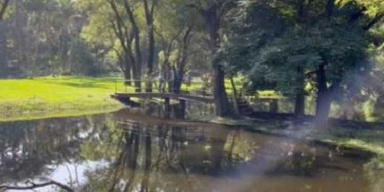 Laguna de Amatitlán bajo vigilancia del CONAP tras aparición de reptil gigante