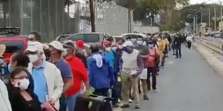 Largas colas con personas de la tercera edad esperan ser vacunados