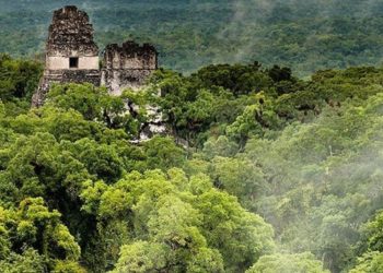 Las autoridades del INAB celebraron el Dí­a Internacional de los Bosques