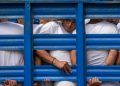 Las cárceles de El Salvador sobrepasan tres veces su capacidad