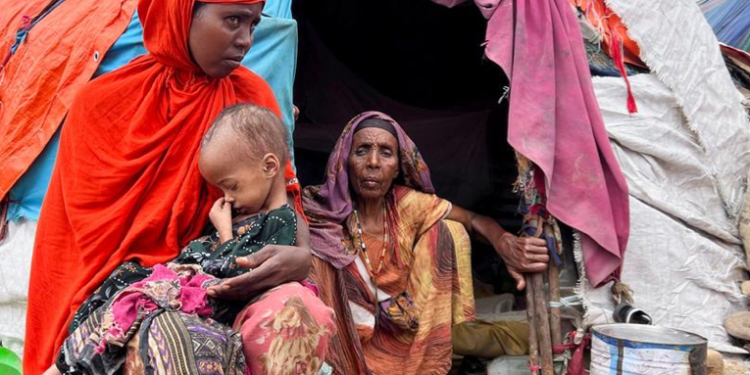 Las crisis alimentarias en ífrica podrían ser más agudas en 2023, dice MSF
