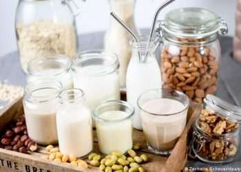 Leches de origen vegetal no logran suplir los nutrientes de la leche de vaca, dice estudio