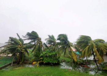 Lisa avanza hacia México convertida en depresión tropical