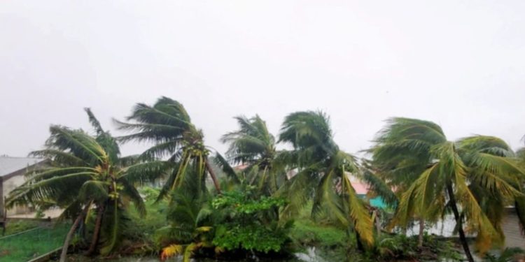 Lisa avanza hacia México convertida en depresión tropical