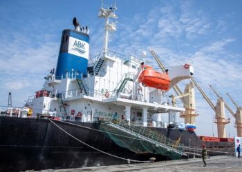 Llega a África el primer barco con grano gratuito procedente de Rusia