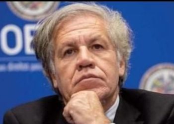 Llega al país misión de observación de la OEA