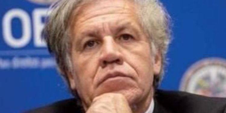 Llega al país misión de observación de la OEA