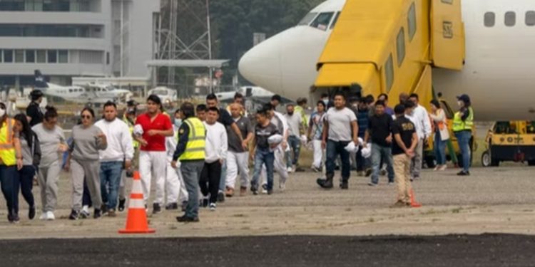 Llegan al país últimos vuelos con deportados desde Estados Unidos bajo el titulo 42