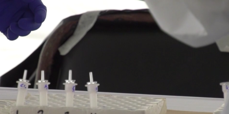 Llegarán al paí­s resultados de pruebas enviadas a Costa Rica