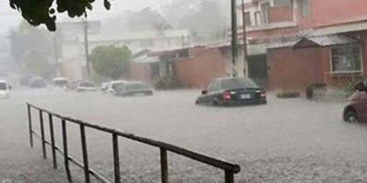 Lluvias causan diversos estragos en distintas partes del paí­s