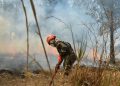 Lluvias estivales alivian incendios forestales: solo 18 focos activos en Petén