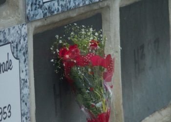 Los asesinatos por conflictos en el campo en Brasil aumentaron 75 % en 2021