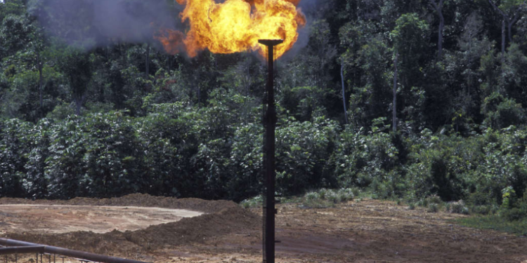 Los desafíos de la crisis climática en América Latina