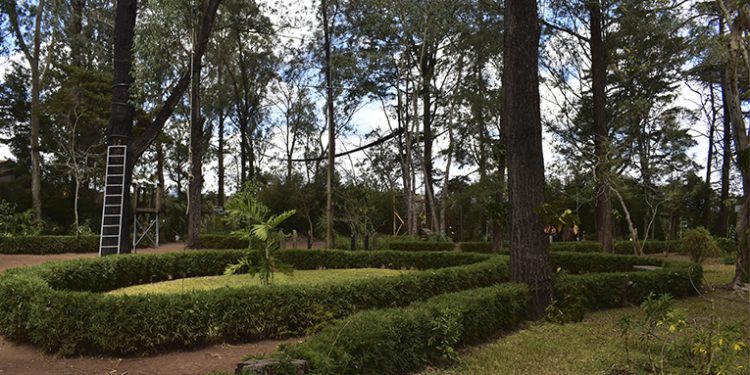 Los espacios verdes en la ciudad son fundamentales para la vida