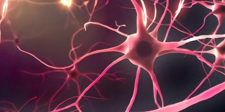 Los humanos no estamos hechos para estar despiertos después de medianoche, advierten cientí­ficos