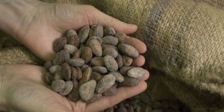 Los precios del cacao se disparan a niveles récords