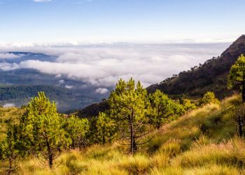 Los testimonios sobre