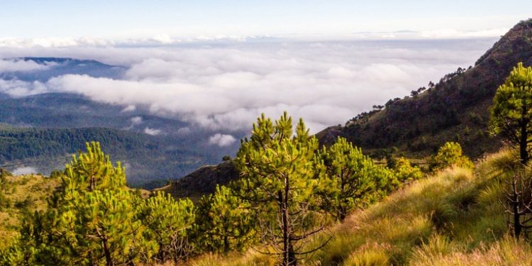 Los testimonios sobre