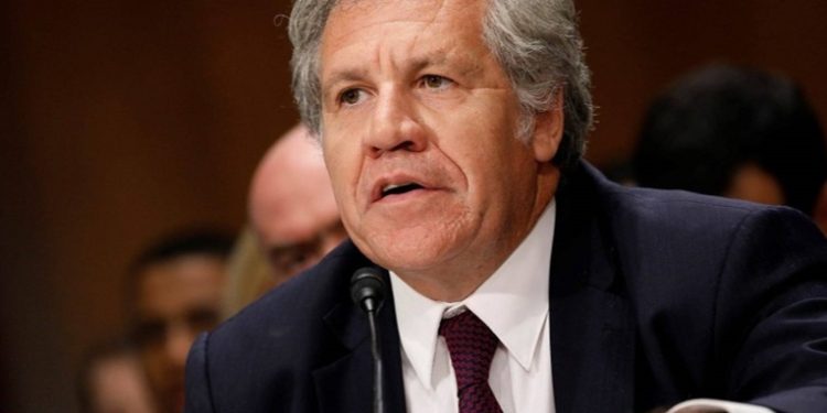 Luis Almagro liderará entrega de informe de transición a Bernardo Arévalo