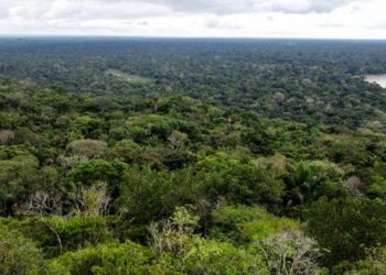 Más de 100 soldados buscan a niños extraviados en Amazonía tras accidente aéreo