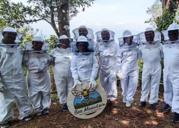 Más de 2,5 millones de abejas salvadas gracias a una iniciativa en Guatemala