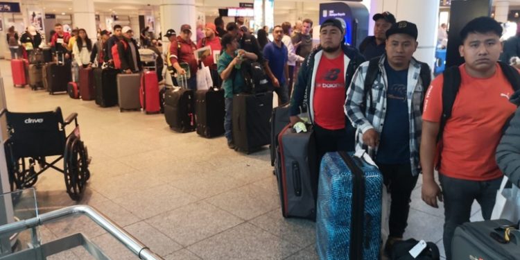 Más de 2 mil trabajadores temporales viajaron en mayo a montreal, canadá