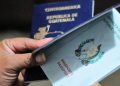 Más de 22 mil visas temporales de trabajo emitidas en lo que va del año