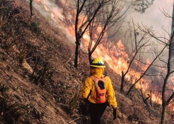 Más de 24 mil hectáreas de bosque han sido devoradas por incendios, según la CONRED