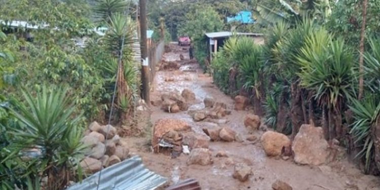 Más de 35 personas fueron evacuadas por lluvias en Alta Verapaz
