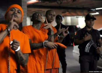 Más de 40 estructuras criminales han sido desarticuladas en lo que va del año