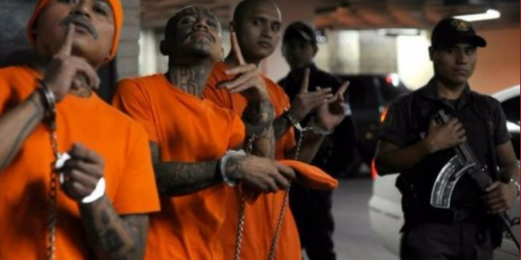 Más de 40 estructuras criminales han sido desarticuladas en lo que va del año