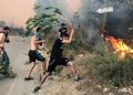 Más de 40 muertos en incendios que arrasan norte de Argelia