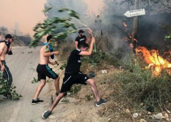 Más de 40 muertos en incendios que arrasan norte de Argelia