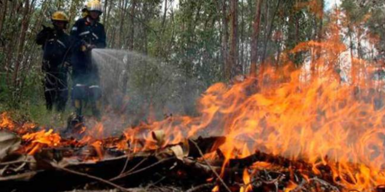 Más de 450 incendios forestales se han producido en los primeros seis meses del año
