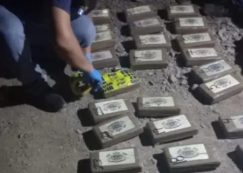 Más de 6 Toneladas de Cocaína Incautadas en lo que va del Año