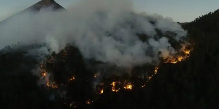 Más de mil incendios forestales afectan al país; occidente es la zona más impactada