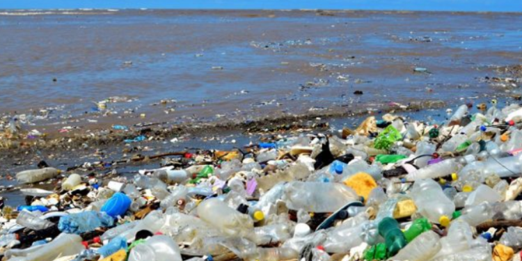 Más mujeres se suman a la recolección de desechos en el Rí­o Motagua