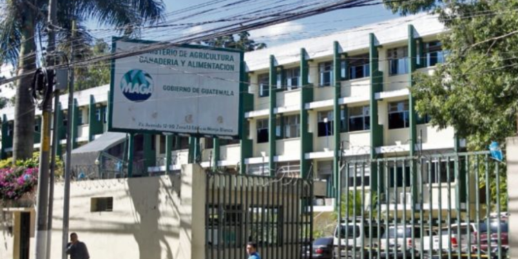 MAGA avanza en los programas establecidos para la Trazabilidad Porcina.