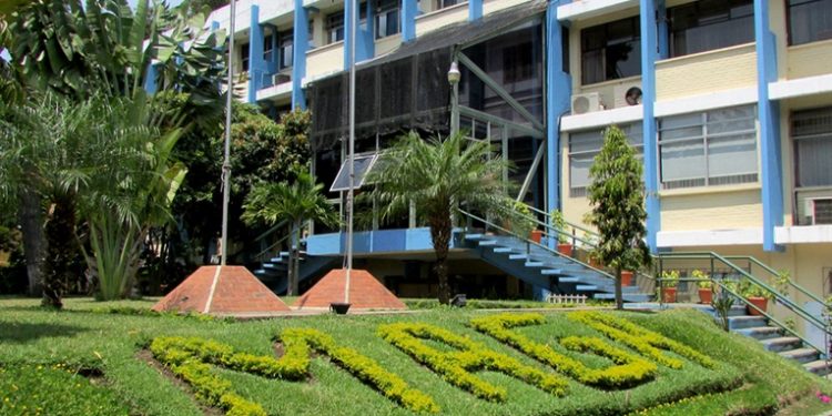 MAGA invertirá más de 20 millones de quetzales en compra de semilla de maí­z mejorada