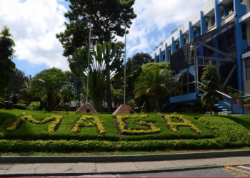 MAGA lanzará plataforma digital para procesos de importación y exportación