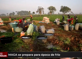 MAGA se prepara para época de frí­o