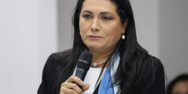 Magistrada TSE responsabiliza al Congreso por posible fracaso Elecciones Generales