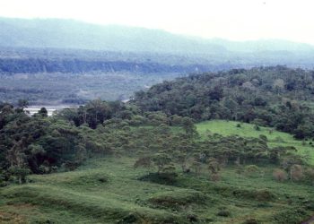 Mapeo láser revela ciudades amazónicas que existieron cientos de años antes que los incas