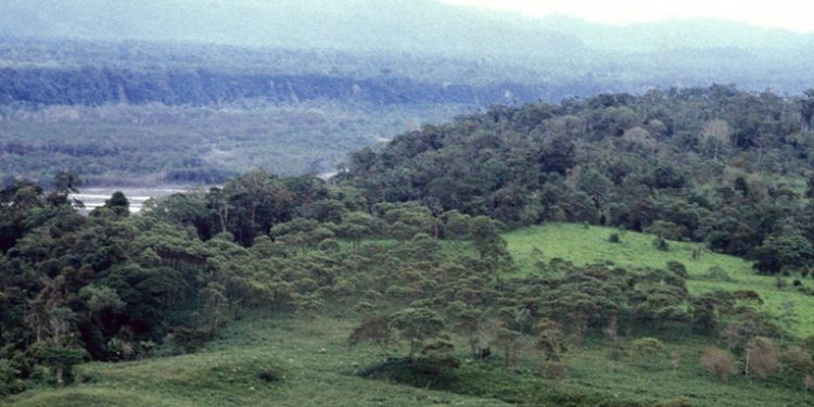 Mapeo láser revela ciudades amazónicas que existieron cientos de años antes que los incas