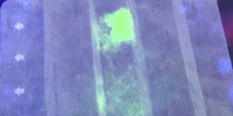 Mascarillas que brillan, la nueva forma de detección de coronavirus en la que trabajan científicos japoneses